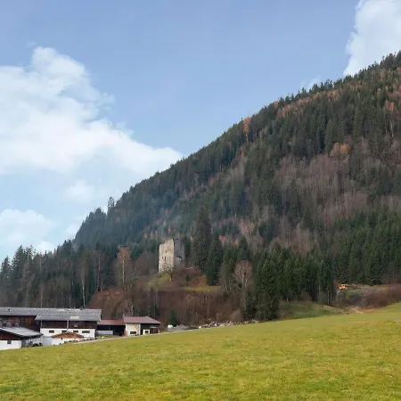 In Wald Near Zillertal Area Wald im Pinzgau