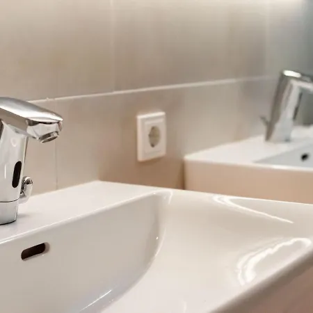 In Wald Near Zillertal Area *