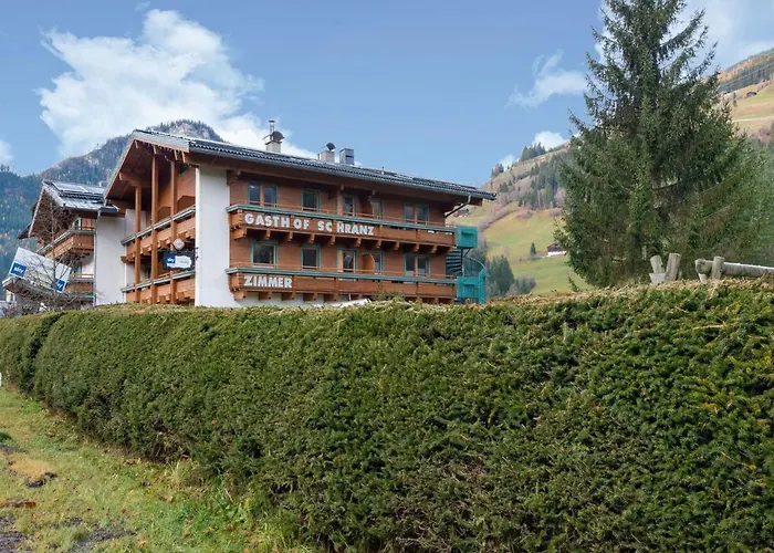 In Wald Near Zillertal Area