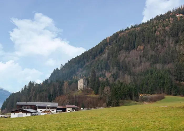 In Wald Near Zillertal Area Wald im Pinzgau