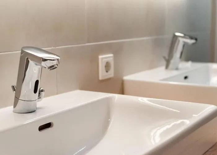 In Wald Near Zillertal Area *